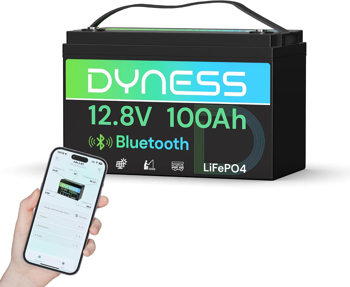 Dyness Autobatterien, 100 Ah, 12 V, Schwarz/Grün/Blau, LiFePO4 Lithium Batterie Bluetooth mit 100A BMS, Max.15000 Zyklen